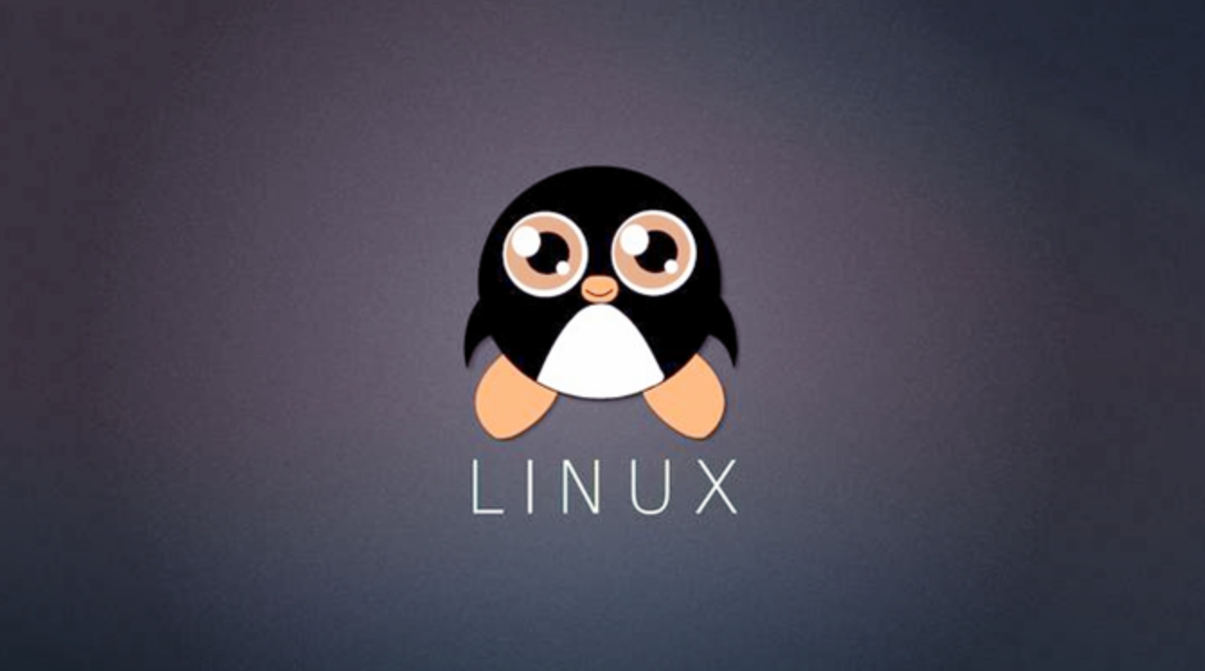 Linux中的常见文件类型有哪些