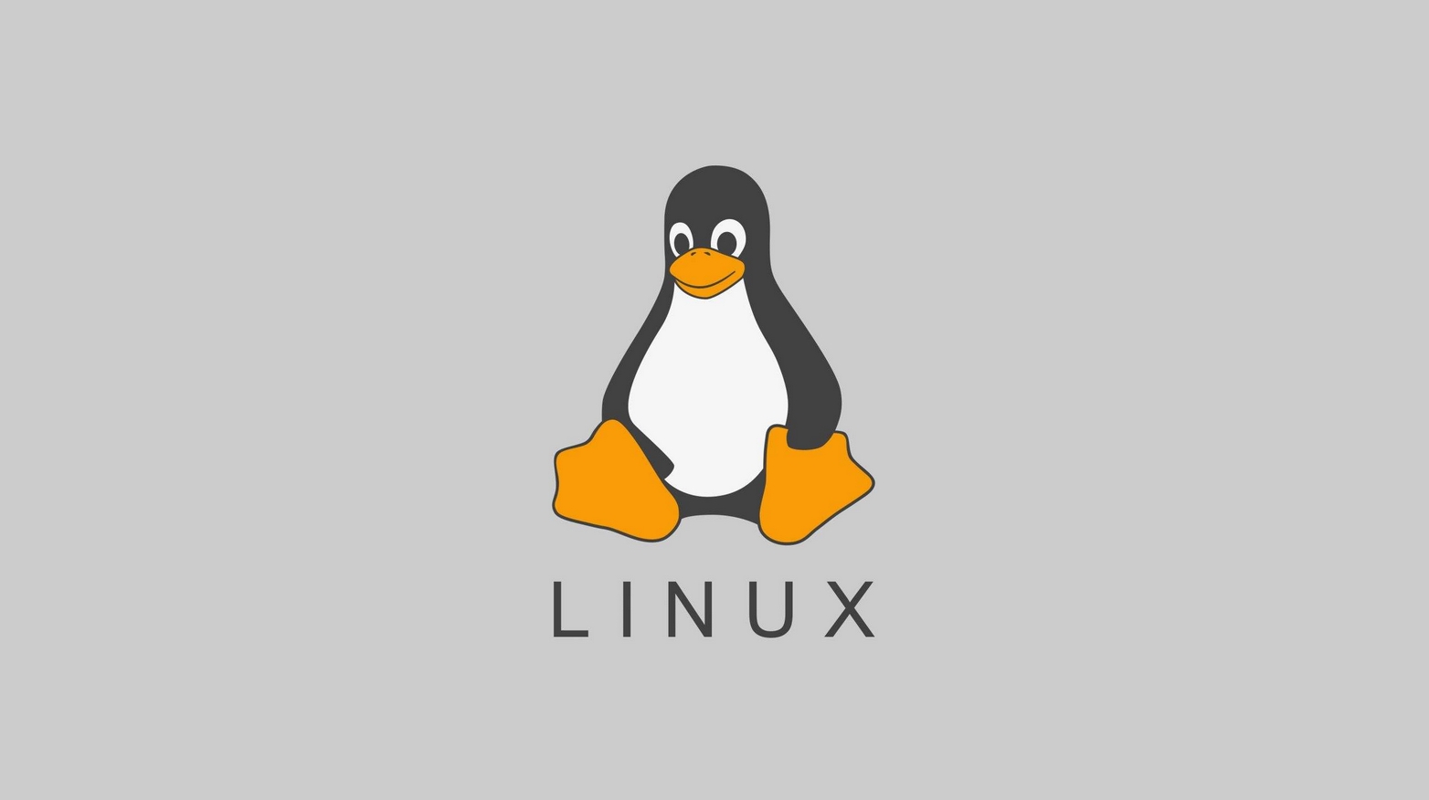 了解Linux系统的分类和特性