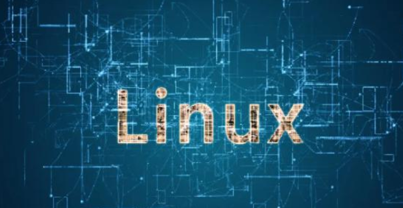 Linux中查找文件夹的命令解读